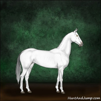 Horse Color:Gray Liver Red Dun Near Leopard Brindle