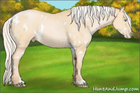 Horse Color:White Spotted Silver Buckskin Pearl 