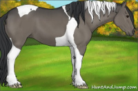 Horse Color:Black Tobiano 