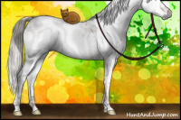 Horse Color:Gray White Spotted Liver Red Dun Ice Mushroom Tobiano Rabicano