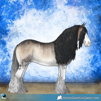 Horse Color:Brown Onyx Splash Rabicano 