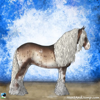 Horse Color:Liver Red Onyx Mushroom Sabino Rabicano 