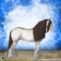 Horse Color:Classic Champagne Onyx Mushroom Sabino Rabicano