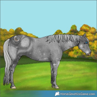 Horse Color:ERROR: UNKNOWN ANOMALY