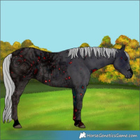 Horse Color:ERROR: UNKNOWN ANOMALY