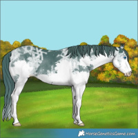 Horse Color:Watercolor Black Ice Splash 