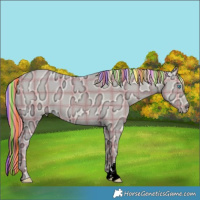 Horse Color:Painted Plaid Perlino Ice Dun