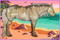 Horse Color:White Spotted Chocolate Palomino Dun Brindle