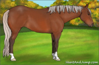 Horse Color:Silver Brown 
