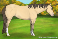 Horse Color:Amber Cream Champagne 