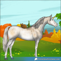 Horse Color:White Spotted Silver Buckskin Pearl Onyx Mushroom Brindle 