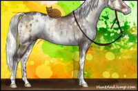 Horse Color:White Spotted Liver Red Dun Onyx Mushroom Rabicano Brindle 