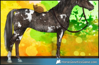 Horse Color:White Spotted Liver Red Dun Ice Brindle 