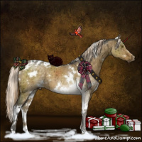 Horse Color:White Spotted Chocolate Palomino Dun Brindle 