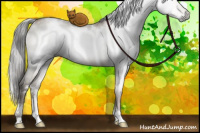 Horse Color:Gray White Spotted Brown Pearl Dun Mushroom