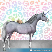 Horse Color:Silver Grullo Chinchilla Sabino Rabicano Brindle