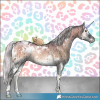Horse Color:White Spotted Silver Grullo Chinchilla Onyx Rabicano Brindle 