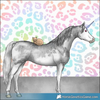 Horse Color:Silver Brown Chinchilla Dun Sabino Splash Rabicano Brindle 