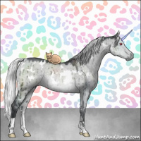 Horse Color:White Spotted Silver Grullo Chinchilla Rabicano Brindle 