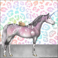 Horse Color:White Spotted Silver Buckskin Chinchilla Onyx Rabicano 