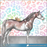 Horse Color:White Spotted Silver Grullo Chinchilla Onyx Sabino 