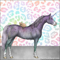 Horse Color:Silver Grullo Chinchilla Sabino Rabicano Brindle