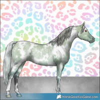 Horse Color:White Spotted Silver Grullo Chinchilla Ice Rabicano