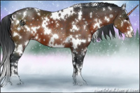 Horse Color:White Spotted Brown Sabino Appaloosa 