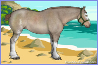 Horse Color:White Spotted Liver Red Dun Roan