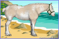 Horse Color:White Spotted Cremello Tobiano 