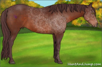 Horse Color:Chocolate Brown 