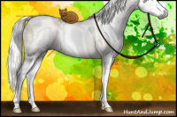 Horse Color:Gray White Spotted Liver Red Dun Pearl Mushroom Splash 