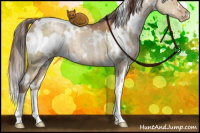 Horse Color:White Spotted Brown Pearl Dun Brindle 
