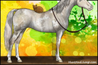 Horse Color:White Spotted Silver Buckskin Ice Pearl Dun Rabicano