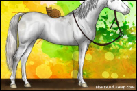 Horse Color:Gray White Spotted Silver Smoky Grullo Pearl Mushroom Splash Rabicano 