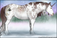 Horse Color:White Spotted Chocolate Brown Chinchilla Splash Rabicano 