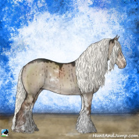 Horse Color:Liver Red Dun Mushroom Sabino Rabicano Brindle