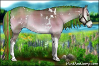 Horse Color:Painted Plaid  White Spotted Liver Red Dun Onyx Tobiano 