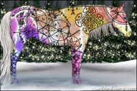 Horse Color:Silver Grullo Ice Splash Appaloosa 