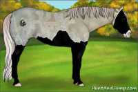 Horse Color:Silver Grullo Ice Splash