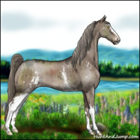 Horse Color:White Spotted Liver Red Dun Mushroom Sabino Brindle