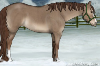 Horse Color:Liver Red Dun Roan Sabino Brindle 