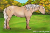 Horse Color:Silver Amber Champagne 