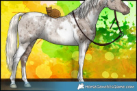 Horse Color:White Spotted Liver Red Dun Ice Mushroom Tobiano Rabicano Brindle 