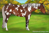 Horse Color:White Spotted Silver Brown 