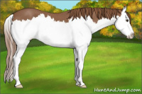 Horse Color:Red Roan Splash 