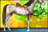 Horse Color:White Spotted Brown Pearl Onyx Mushroom