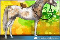 Horse Color:White Spotted Chocolate Palomino Onyx Tobiano Brindle 