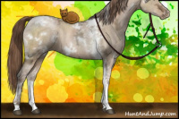 Horse Color:White Spotted Brown Ice Pearl Dun Tobiano