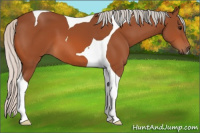 Horse Color:Silver Bay Tobiano